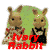 �A�C�{���[�E�T�M